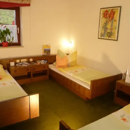Harmonie Guest house Arnbruck