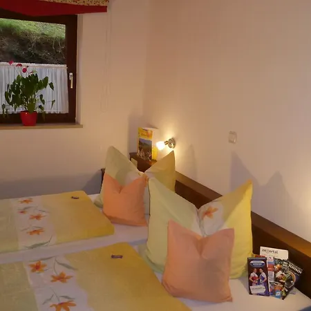 Guest house Harmonie 3*